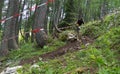 Petzen,Austria - June 30 - Unidentified enduro mountainbike racer goes down on a stage 3 of Enduro World Series EWS #4 Petzen/Ja