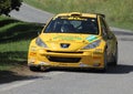 A Peugeot 207 super 2000 rally car at the Alba Rally on 28 July 2019