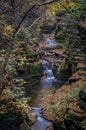 Beautiful autumn creek with smooth creamy waterfalls Royalty Free Stock Photo