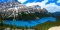 Peyto Lake in the candian rockies Royalty Free Stock Photo