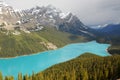 Peyto lake Royalty Free Stock Photo