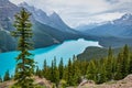 Beautiful Peyto Lake Alberta Canada Royalty Free Stock Photo