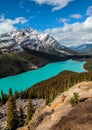 Peyto Lake Royalty Free Stock Photo