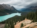 Peyto Lake in Banff Alberta looks like the face of a fox Royalty Free Stock Photo