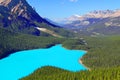 Peyto Lake Banff National Park Royalty Free Stock Photo