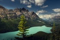 Peyto Lake, Banff National Park, Alberta, Canada Royalty Free Stock Photo