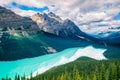 Peyto Lake, Banff National Park, Alberta, Canada Royalty Free Stock Photo