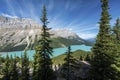 Peyto Lake, Banff National Park, Alberta, Canada Royalty Free Stock Photo