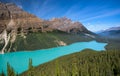 Peyto Lake, Banff National Park, Alberta, Canada Royalty Free Stock Photo