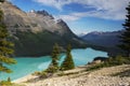 Peyto Lake, Banff National Park, Canada Royalty Free Stock Photo