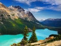 Peyto Lake, Banff National Park, Canada Royalty Free Stock Photo