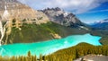 Peyto Lake, Banff National Park, Canada Royalty Free Stock Photo