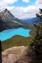 Peyto Lake in Banff National Park, Canada Royalty Free Stock Photo