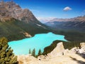 Peyto Lake, Banff National Park, Canadian Rockies Royalty Free Stock Photo