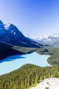 Peyto Lake, Banff National Park, Rocky Mountains, Alberta, Canad Royalty Free Stock Photo