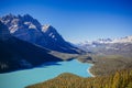 Peyto Lake, Banff National Park, Rocky Mountains, Alberta, Canad Royalty Free Stock Photo