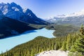 Peyto Lake, Banff National Park, Rocky Mountains, Alberta, Canad Royalty Free Stock Photo