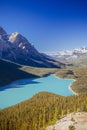 Peyto Lake, Banff National Park, Rocky Mountains, Alberta, Canad Royalty Free Stock Photo