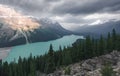 Peyto Lake in Banff National Park on a very cloudy and cold September day. Glacial lake in Canadian Rockies. Woods and Royalty Free Stock Photo