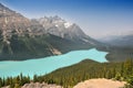 Peyto Lake, Canada Royalty Free Stock Photo