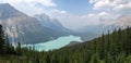 Peyto lake in the Canadian Rockies Royalty Free Stock Photo