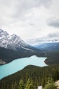 Peyto Lake is a glacier-fed lake in Banff National Park in Canadian Rockies. Vertical format Royalty Free Stock Photo