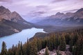 Peyto Lake during the Golden Hour Royalty Free Stock Photo