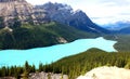 Peyto Lake: A Hidden Gem High Up In The Mountains Royalty Free Stock Photo