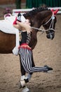 International Vaulting competition in Pezinok, Slovakia on June Royalty Free Stock Photo