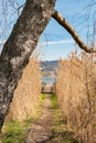 Small pier at the lake Pfaeffikersee in Zurich in Switzerland Royalty Free Stock Photo