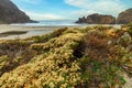 Pfeiffer Beach in Big Sur is an incredibly picturesque beach, beautiful landscape on the Pacific coast, rocks, sand