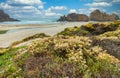 Pfeiffer Beach in Big Sur is an incredibly picturesque beach, beautiful landscape on the Pacific coast, rocks, sand