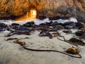 Pfeiffer Beach Keyhole Rock, Big Sur, Monterey County, California, USA