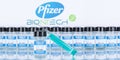 Pfizer Biontech Coronavirus Vaccine Corona Virus COVID-19 Covid syringe vaccines panoramic photo Royalty Free Stock Photo