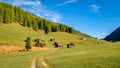 The beautiful high valley of Pfundser Tschey Tyrol, Austria Royalty Free Stock Photo