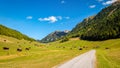 The beautiful high valley of Pfundser Tschey Tyrol, Austria Royalty Free Stock Photo