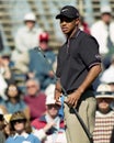 PGA Golf Superstar Tiger Woods Royalty Free Stock Photo