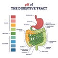 PH of digestive tract with acidic, neutral or alkaline colors outline diagram Royalty Free Stock Photo