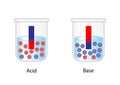 PH indicator. Color change of blue litmus paper to red for acids, red litmus paper to blue for bases. Vector scientific design.