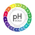 PH meter for measuring acid alkaline balance. Vector infographics in the circle form with pH scale