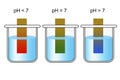 PH paper indicator with acidic, neutral and basic solutions
