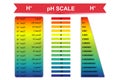 PH scale chart vector illustration