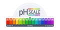 pH scale indicator chart diagram acidic alkaline measure. Acid-base balance infographic