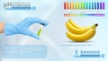 Ph scale infographic illustration, pH scale Five properties