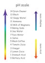 Ph scale with product names with different acidity. The scale is arranged in the form of an arrow from the alkaline