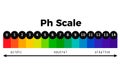 Ph scale vector chart