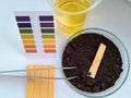 PH test soil and oil in a flask Royalty Free Stock Photo