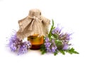 Phacelia tanacetifolia with pharmaceutical bottle.