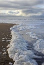 Phaeocystis, clade of algae on the beach Royalty Free Stock Photo