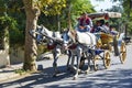 Phaeton Horse Car